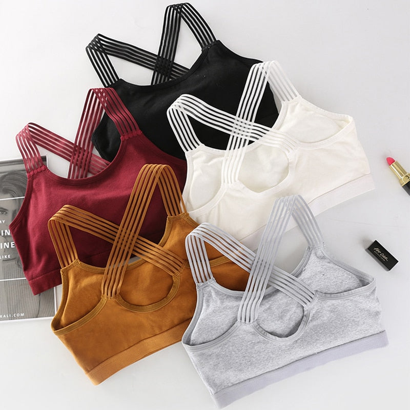 PREMIUM SPORTS BRA